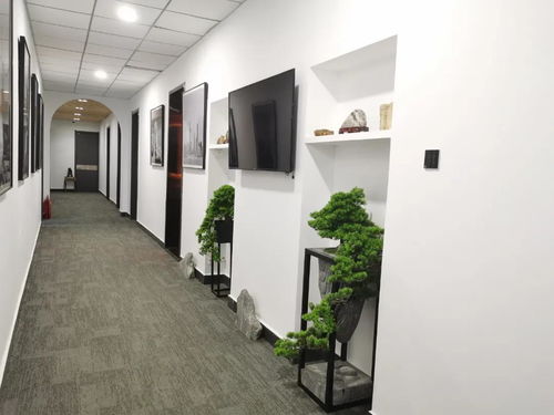酒店設(shè)計(jì) 工裝設(shè)計(jì) 建筑裝飾工程智能化設(shè)計(jì)所