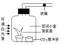 鄉村振興戰略是近年來黨和政府為 確保國家糧食安全,把中國人的飯碗牢牢端在自己手中 而開展的重要系統工程 建造塑料大棚,生產綠色有機農產品,是系統工程內容之一 某農戶新建大棚種植菠菜